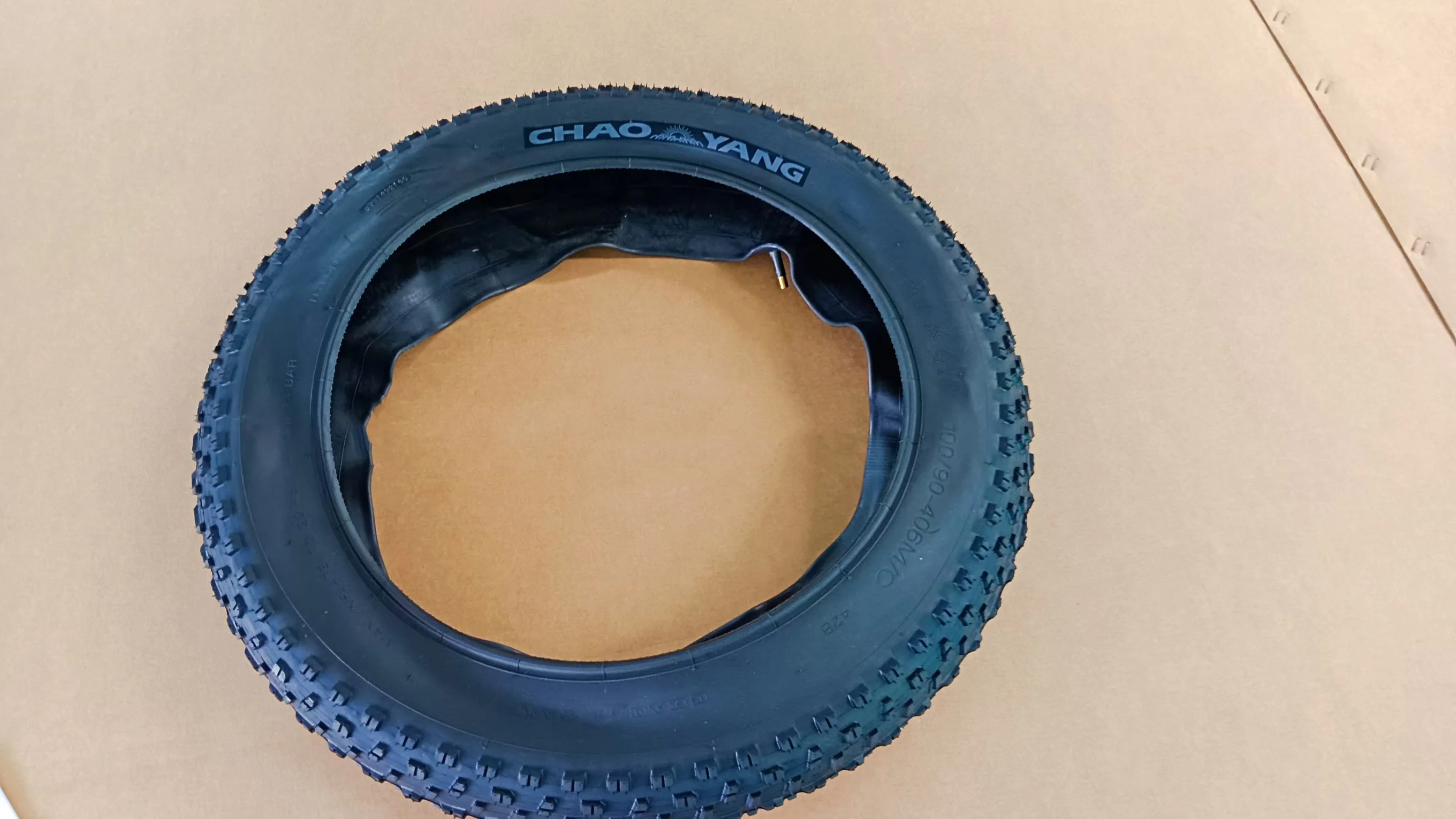 Ridstar Outer tire