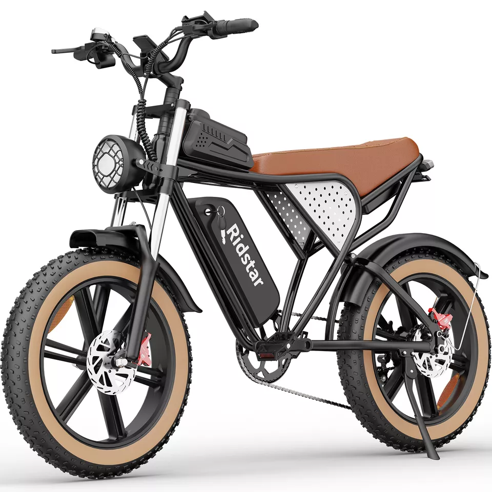 EU Ebike